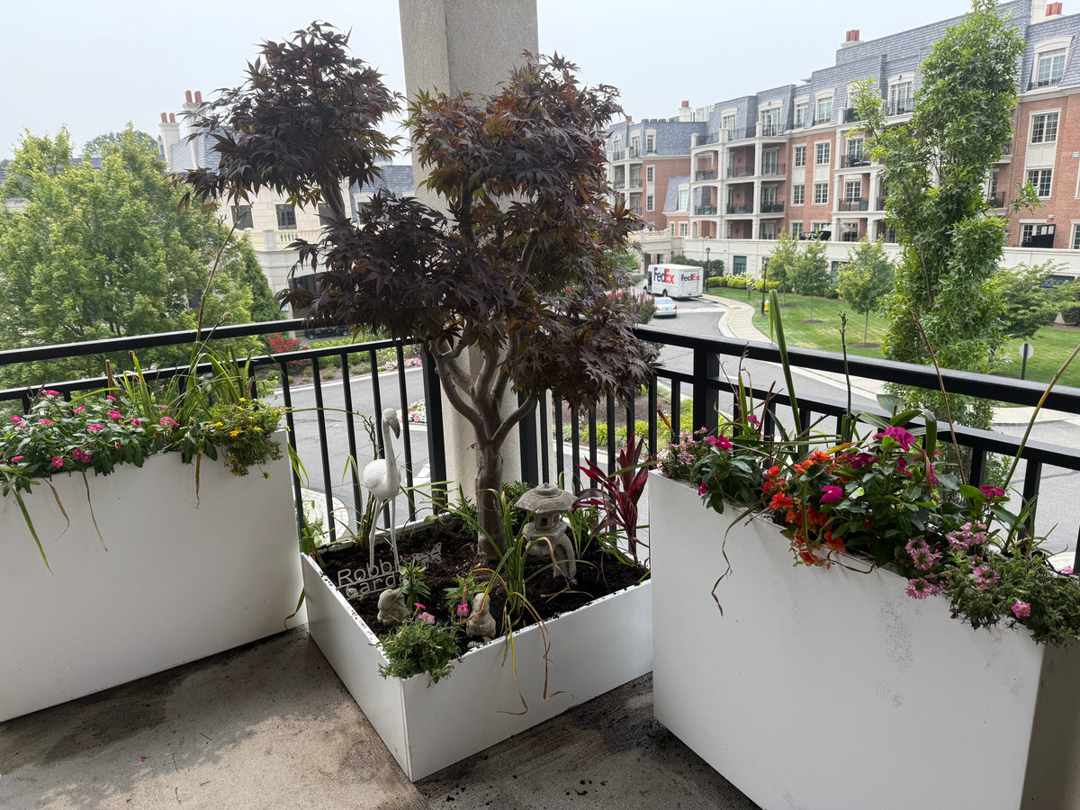 Three white steel planters on a balcony holding a Japanese maple, flowers and a small garden scene, customer photo