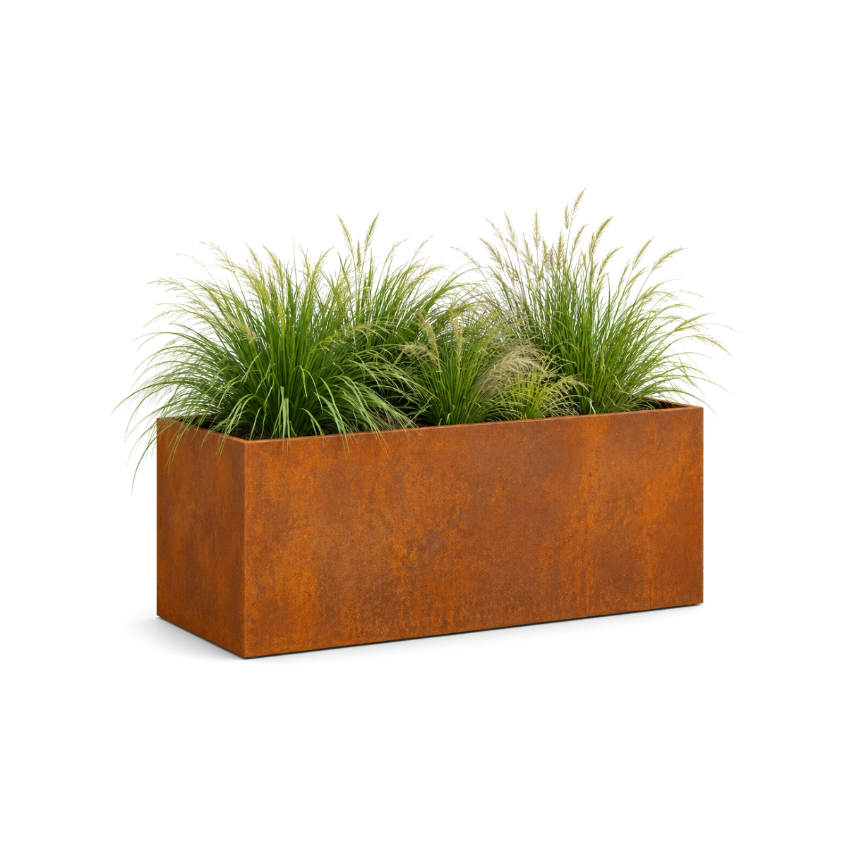 Rectangular corten steel planter with ornamental grasses on a white studio background